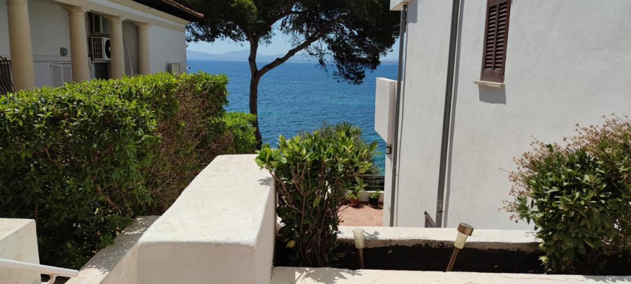Lejlighed Blau Cel Alcudia (Mallorca)
